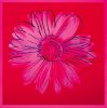 Andy Warhol art print