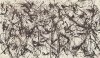 Jackson Pollock art print