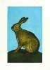 Sonia Rollo art print