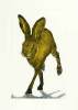 Sonia Rollo art print