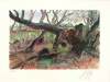 Guenter Grass art print