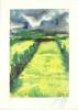 Guenter Grass art print