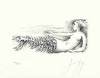Guenter Grass art print