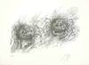 Guenter Grass art print