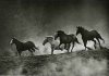 Tony Stromberg art print