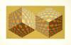 Victor Vasarely art print