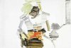 Magnus Von Plessen art print