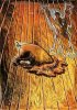 J�rg Immendorff art print