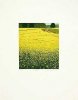 Michael Rausch art print