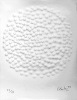 G�nther Uecker art print