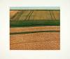 Michael Rausch art print