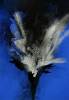 Otto Piene art print