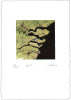 Gerhard Treichel art print