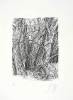 Guenter Grass art print