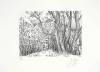 Guenter Grass art print