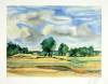 Guenter Grass art print
