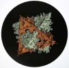 M.C. Escher art print