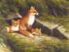 Ralph Waterhouse art print