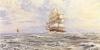 Robin Goodwin art print