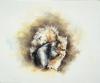 Mandy Shepherd art print
