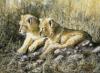 Paul Apps art print