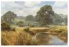 David Dipnall art print