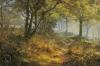 David Dipnall art print