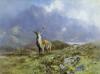 David Shepherd art print