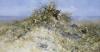 David Shepherd art print