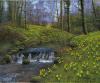 Bill Makinson art print