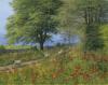 Bill Makinson art print