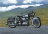 Ray Goldsbrough art print