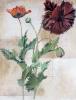 Dennis Carney art print