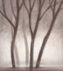 Gretchen Hess art print