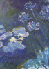 Claude Monet art print