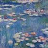 Water Lilies  1916