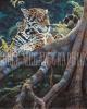 Jan Martin McGuire art print