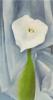 Georgia O'Keeffe art print