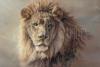 Kalon Baughan art print