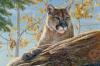 Kalon Baughan art print