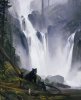 Michael Coleman art print