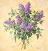 Todd Telander art print