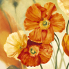 Pierre Viollet art print