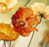 Pierre Viollet art print