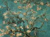 Vincent Van Gogh art print