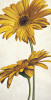 Eva Barberini art print