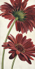 Eva Barberini art print