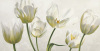 Eva Barberini art print
