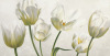 Eva Barberini art print