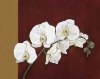 Ann Parr art print